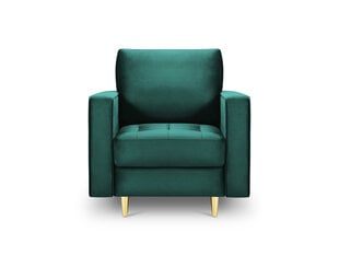 Кресло Milo Casa Santo 7, зеленое/золотое цена и информация | Кресла в гостиную | 220.lv