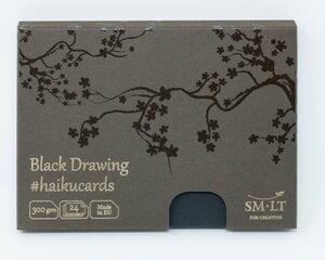 Карточки для рисования черные 106х147 мм, 24 шт. цена и информация | Тетради и бумажные товары | 220.lv