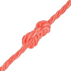 vidaXL vīta virve, polipropilēns, 10 mm, 250 m, oranža цена и информация | Ветки | 220.lv