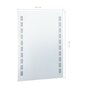 vidaXL vannasistabas sienas spogulis ar LED apgaismojumu, 60x80 cm cena un informācija | Spoguļi | 220.lv