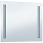 vidaXL vannasistabas sienas spogulis ar LED apgaismojumu, 80x60 cm цена и информация | Spoguļi | 220.lv