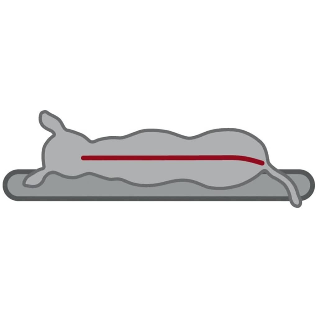TRIXIE ortopēdisks suņu matracis Bendson Vital, 100x65x8-10 cm cena un informācija | Suņu gultas, spilveni, būdas | 220.lv