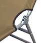 vidaXL sauļošanās zvilnis, regulējama atzveltne, saliekams, pelēkbrūns cena un informācija | Sauļošanās krēsli | 220.lv