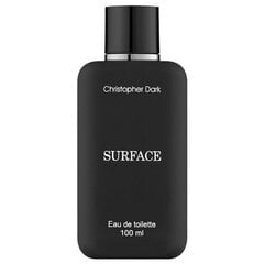 Туалетная вода Christopher Dark Surface EDT для мужчин, 100 мл цена и информация | Мужские духи | 220.lv