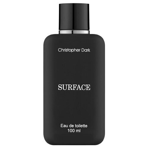 Tualetes ūdens Christopher Dark Surface EDT vīriešiem 100 ml cena un informācija | Vīriešu smaržas | 220.lv