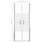 vidaXL dušas durvis, 101x190 cm, ESG, pusmatētas цена и информация | Dušas durvis, dušas sienas | 220.lv