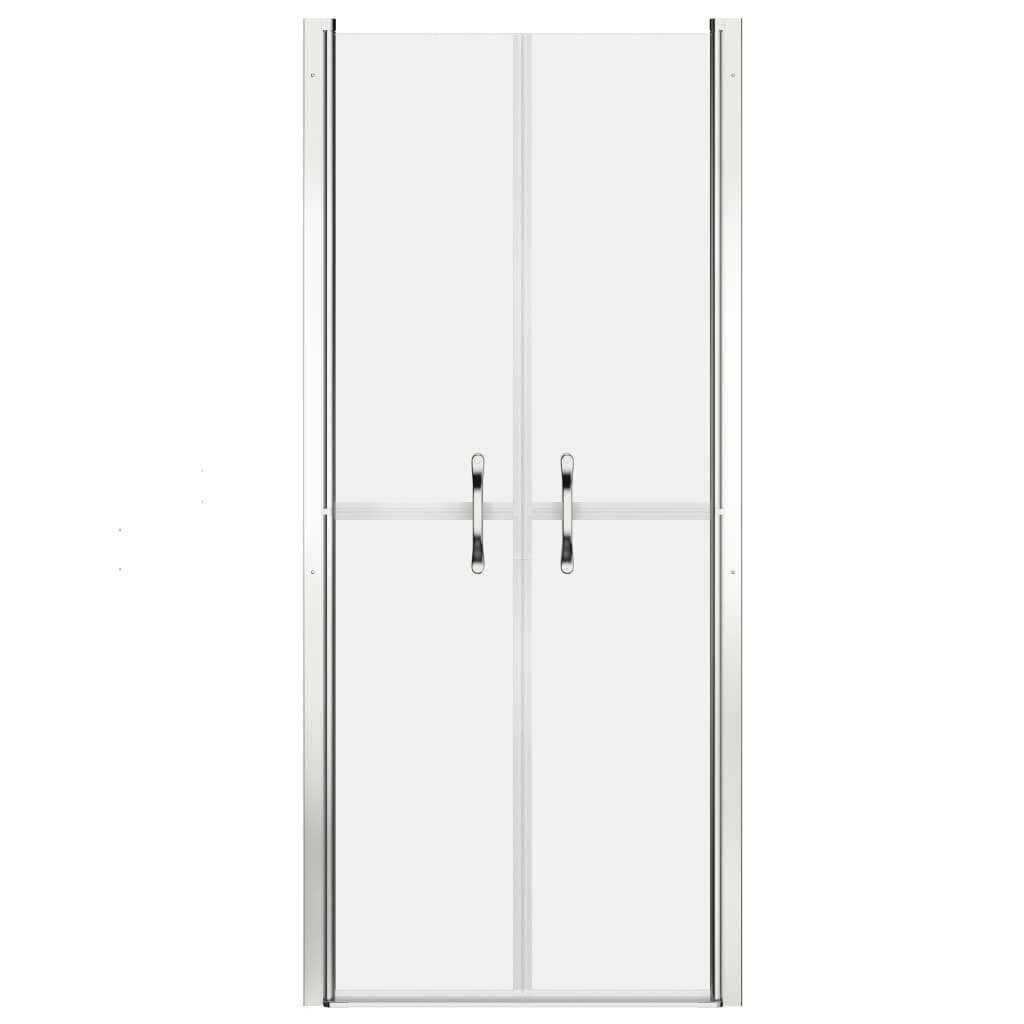 vidaXL dušas durvis, 101x190 cm, ESG, matētas cena un informācija | Dušas durvis, dušas sienas | 220.lv
