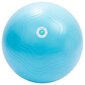 Pure2Improve vingrošanas bumba, 65 cm, gaiši zila cena un informācija | Vingrošanas bumbas | 220.lv