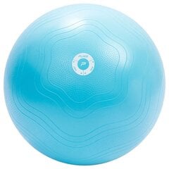 Гимнастический мяч Pure2improve, 65 см цена и информация | Гимнастические мячи | 220.lv