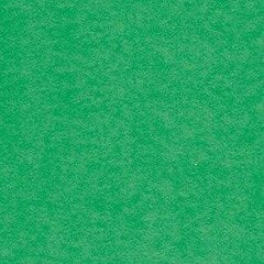 Цветной картон А1, 20 листов, зеленый цена и информация | Тетради и бумажные товары | 220.lv