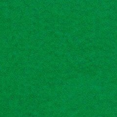 Цветной картон А1, 20 листов, зеленый цена и информация | Тетради и бумажные товары | 220.lv