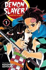 Komikss Manga Demon slayer vol 1 цена и информация | Комиксы | 220.lv