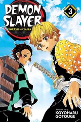 Komikss Manga Demon slayer vol 3 cena un informācija | Komiksi | 220.lv