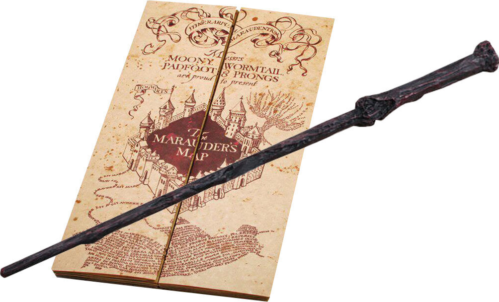 Karte un zizlis Harry Potter цена и информация | Rotaļlietas zēniem | 220.lv