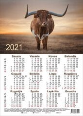 Kalendārs A3 formātā cena un informācija | Kalendāri, piezīmju grāmatas | 220.lv