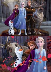 Головоломка Frozen, 2 шт. x 100 частей цена и информация | Пазлы | 220.lv