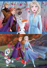 Puzle Frozen, 2 gab. x 48 detaļas цена и информация | Пазлы | 220.lv