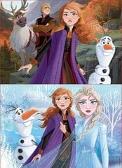 Головоломка Frozen, 2 шт. x 50 деталей цена и информация | Пазлы | 220.lv