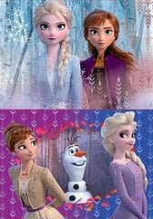 Puzle Frozen II, 2 gab. x 20 detaļas цена и информация | Пазлы | 220.lv