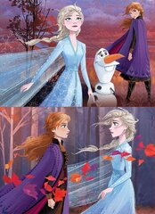 Головоломка Frozen II, 2 шт. x 25 деталей цена и информация | Пазлы | 220.lv