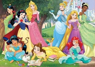 Puzle Princeses, 500 detaļas cena un informācija | Puzles, 3D puzles | 220.lv