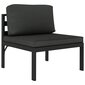 vidaXL vidējais dīvāns ar matračiem, alumīnijs, antracītpelēks cena un informācija | Dārza krēsli | 220.lv