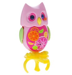 Интерактивная сова Silverlit DigiOwls, 88285 цена и информация | Развивающие игрушки | 220.lv