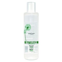 Мицелярная вода POSTQUAM NATURAGE MICELLAR WATER 200 мл. цена и информация | Средства для очищения лица | 220.lv