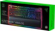 Razer Huntsman V2 Analog RU цена и информация | Klaviatūras | 220.lv