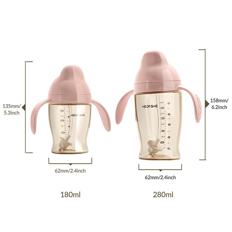 Ūdens pudele Dental care 9 mēn.+, 280 ml cena un informācija | Bērnu pudelītes un to aksesuāri | 220.lv