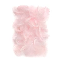 Перья 5-12 см, 10 г, розовые цена и информация | Аппликации, декорации, наклейки | 220.lv