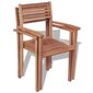 vidaXL dārza krēsli, 2 gab., masīvs tīkkoks, saliekami viens uz otra cena un informācija | Dārza krēsli | 220.lv