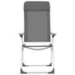 vidaXL kempinga krēsli, 4 gab., pelēki, alumīnijs, salokāmi цена и информация |  Tūrisma mēbeles | 220.lv