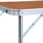vidaXL saliekams kempinga galds, alumīnijs, 120x60 cm цена и информация |  Tūrisma mēbeles | 220.lv