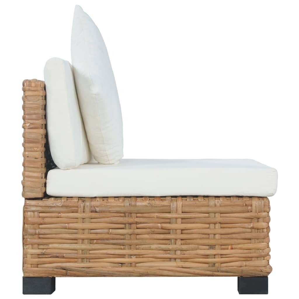 vidaXL dīvāns ar matračiem, bez roku balstiem, dabīga rotangpalma cena un informācija | Dārza krēsli | 220.lv