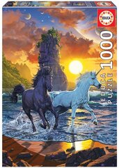 Головоломка Единороги, 1000 штук цена и информация | Пазлы | 220.lv