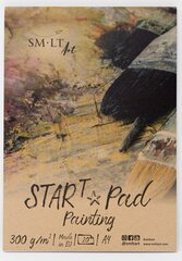 Painting pad  START "SMLT" A4, 20 lh,300gsm цена и информация | Тетради и бумажные товары | 220.lv