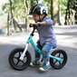 Movino Classic Ergo+ bērnu balansa ritenis ar EVA 12" riteņiem, zaļš/rozā цена и информация | Balansa velosipēdi | 220.lv