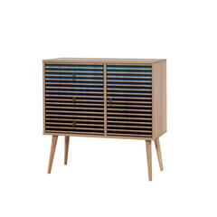 Kumode Kalune Design Dresser 3446, ozola krāsas/zila cena un informācija | Kumodes | 220.lv