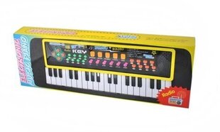 Детский синтезатор с микрофоном - MQ5407 цена и информация | Развивающие игрушки | 220.lv