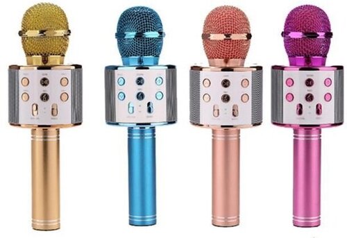 Детский микрофон WS585 цена и информация | Развивающие игрушки | 220.lv