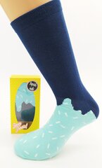 Мужские носки Popsicle socks цена и информация | Мужские носки | 220.lv