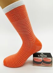Unisex zeķes dāvanu iepakojumā Sushi socks cena un informācija | Vīriešu zeķes | 220.lv