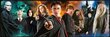 Puzle Clementoni Panorama Harijs Poters/Harry Potter, 61883, 1000 d. cena un informācija | Puzles, 3D puzles | 220.lv
