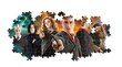 Puzle Clementoni Panorama Harijs Poters/Harry Potter, 61883, 1000 d. цена и информация | Puzles, 3D puzles | 220.lv