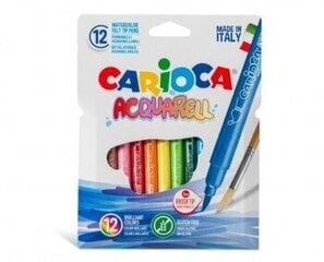 Akvareļu flomāsteri Carioca, 12 krāsas kaina ir informacija | Modelēšanas un zīmēšanas piederumi | 220.lv