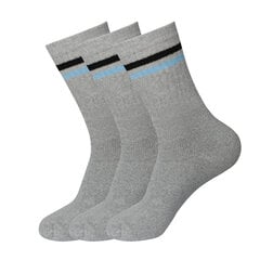 Vīriešu sporta zeķes Bisoks 3 pāri 11011k l.grey/2 stripes black/light blue цена и информация | Мужские носки | 220.lv