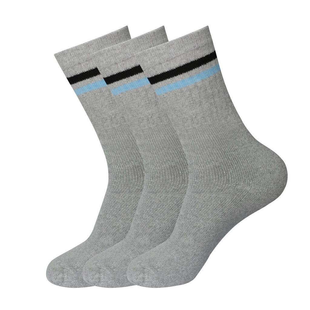 Vīriešu sporta zeķes Bisoks 3 pāri 11011k l.grey/2 stripes black/light blue цена и информация | Vīriešu zeķes | 220.lv