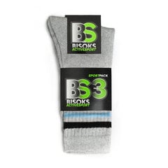 Спортивные носки в комплекте 3 пары Bisoks 11011k l.grey/2 stripes black/light blue цена и информация | Мужские носки | 220.lv