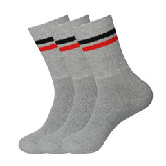 Спортивные носки в комплекте 3 пары Bisoks 11011k l.grey/2 stripes black/red цена и информация | Мужские носки, чёрные | 220.lv